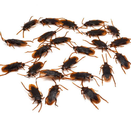 Kit 25 Cucarachas Falsas Plásticas Broma Halloween Insectos