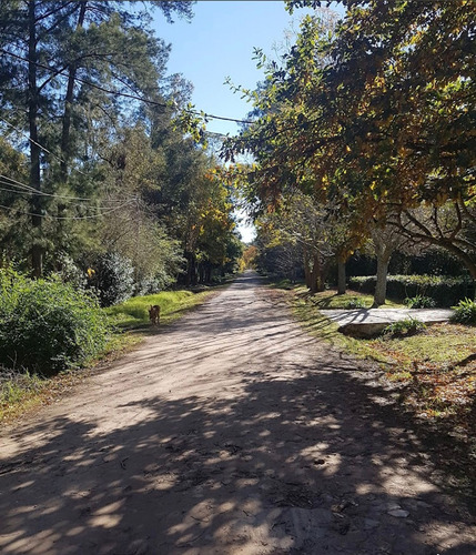 Venta De Terreno En El Barrio Los Bosquecitos