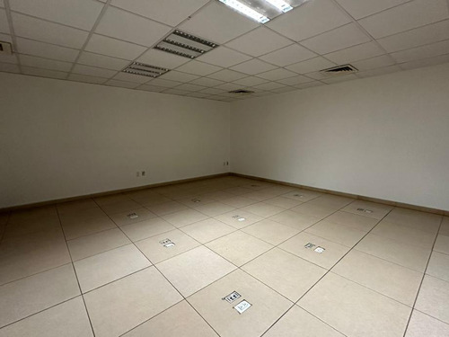 Oficinas En Renta En Río Tiber Piso 2