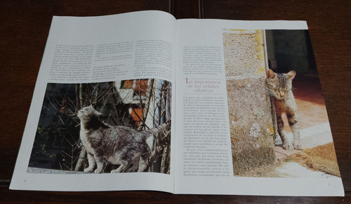 Revista El Gato Editorial Deagostini (Usado)