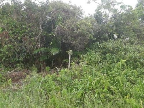 Essa Não Pode Perder, Terreno Lote Inteiro, Valor De Ocasião - 0006