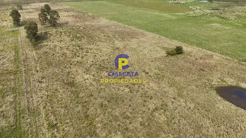 3 Hectáreas En Noya, Departamento De Canelones