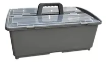 Comprar Organizador Insumos De Limpieza 2 Compartimientos Con Ruedas
