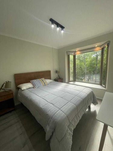 Lindo Departamento (79616)