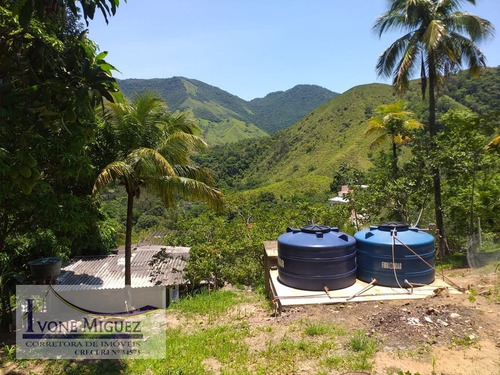Imagem 8 de 15 de Sítio Em Santa Branca - Miguel Pereira - 3174