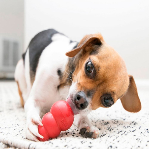 Imagen 4 de 10 de Kong Classic Small Juguete Perros