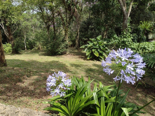 Chácara Bairro Tatetos São Bernardo Do Campo