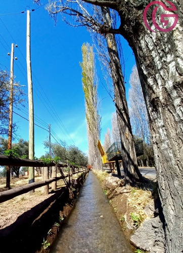 Imagen 12 de 12 de Greenwood Inmobiliaria Vende Ultimo Lote Disponible En Barrio Rincon Cepas De Malbec - Vistalba