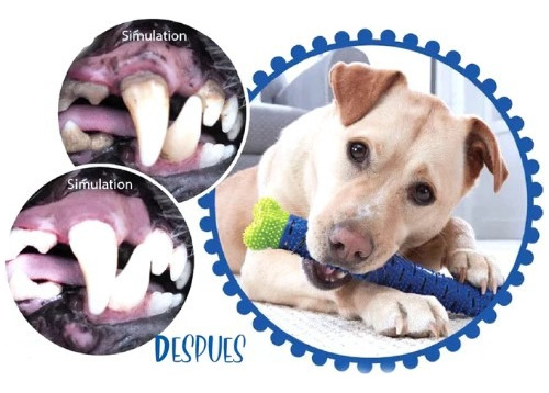 Hueso De Goma Limpiador De Dientes