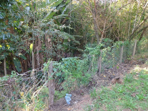 Imagem 14 de 23 de Chácara À Venda Em Chácara Bela Vista - Ch017038