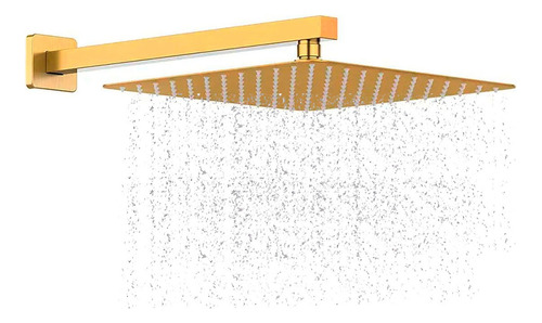 Ducha Inox Chuveiro 30x30 Cm Slim Cano 30 Cm Dourado