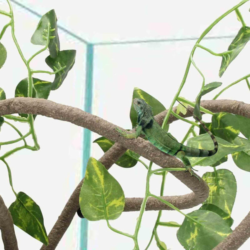 Terrario Para Reptiles, Enredaderas Trepadoras De Estilo B