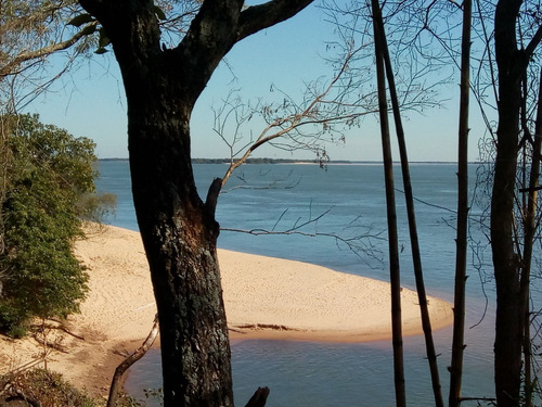 Imagen 6 de 15 de Terreno Corrients Itatí Pesca Rio Parana $350000 48cta Fija