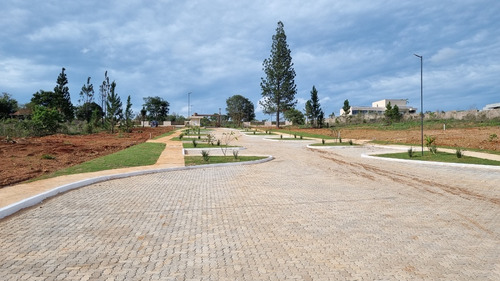 Smpw 17, Quadra 15: Lote De 2500 M², Escriturado, Infra, Pronto Para Construir