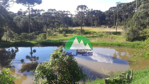 Chácara Residencial À Venda, Zona Rural, Agudos Do Sul. - Ch0020