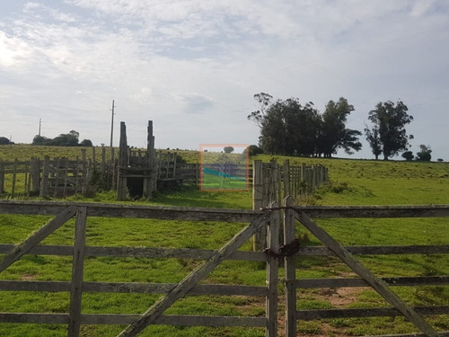 Imagen 4 de 14 de Campo 57 Hás En Garzón