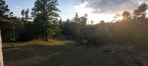 Imagen 10 de 29 de Venta De Campo + Vivienda En Athos Pampa - Tlc0609