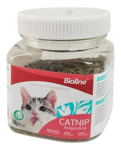 Catnip Hierba Seca Bioline 20gr