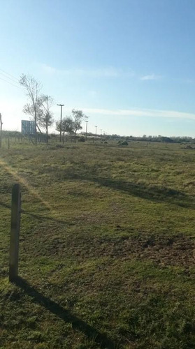 Imagen 10 de 13 de Chacra En Venta - 6ha - La Lucila Del Mar