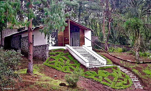 Cabaña En El Bosque De Morelos