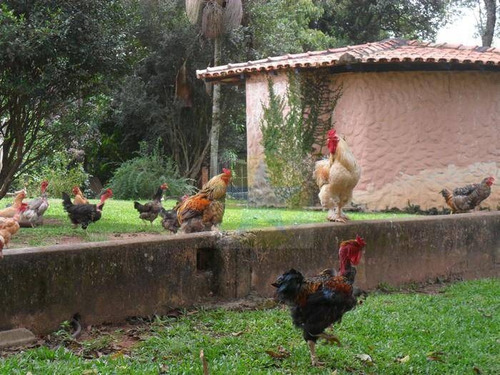 Chácara Residencial À Venda, Estância Santa Maria Do Portão, Atibaia - Ch0910. - Ch0910
