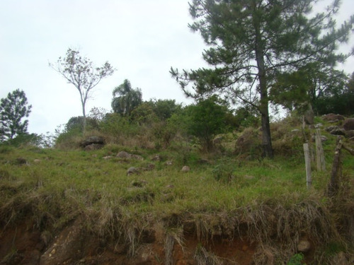 Imagem 2 de 14 de Terreno Rural De 17 Mil Im² - Tapeva, 400 Metros Da Sc 437