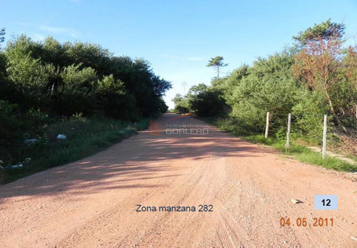 Imagen 9 de 26 de Terreno En Venta En Rocha, Zona De Punta Del Diablo, Bosque De La Viuda