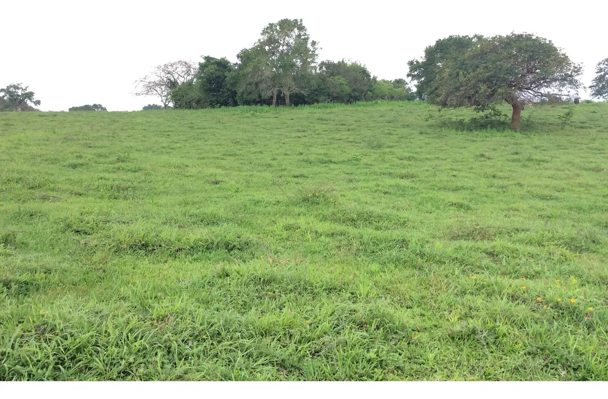 Rancho En Venta En Tamiahua, Veracruz