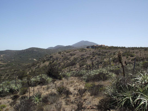 Oportundiad Venta Parcela,los Molles. (91383)