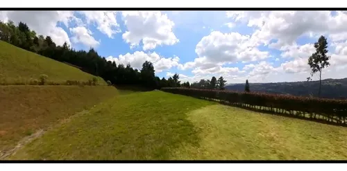 Rhbr-14475 (lote) (guarne, Vda. Montañez)
