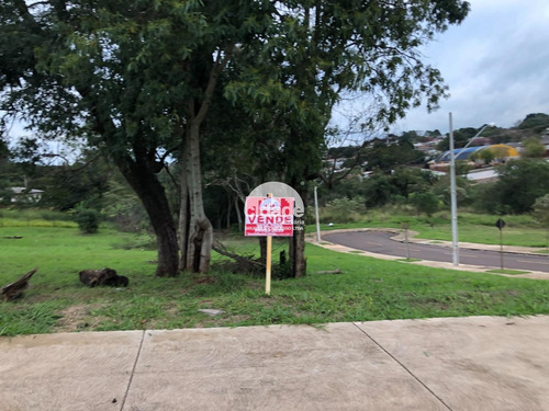 Imagem 4 de 6 de Terreno À Venda, Novacap - Cascavel/pr - 12092