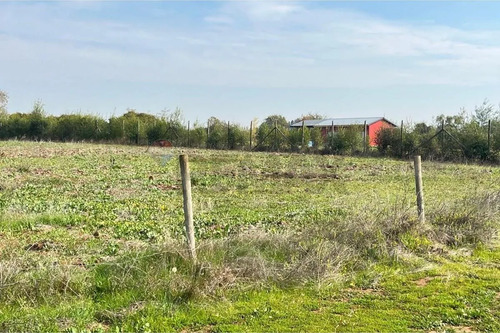 Se Vende Sitio 5000 M2 Loteo Haras De Huiquilemu