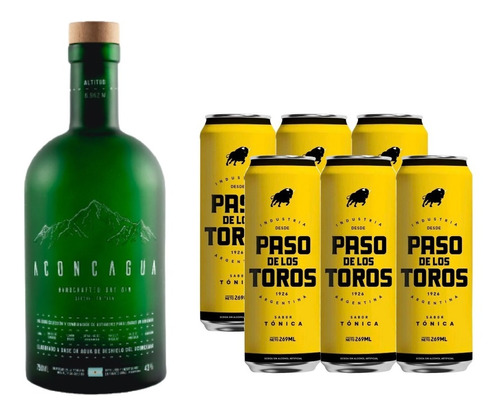 Combo Gin Aconcagua Verde 750ml + Paso Toros Tonica Lata X6