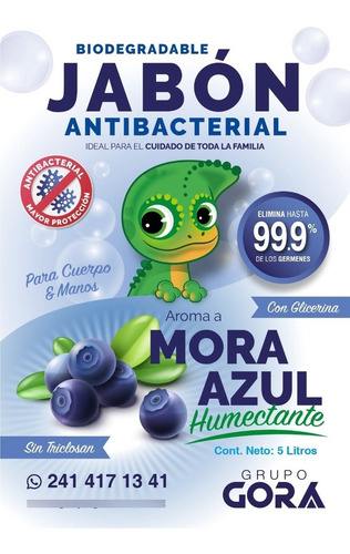 Imagen 4 de 5 de Jabón Líquido Antibacterial Para Manos Mora Azul 5 Litros