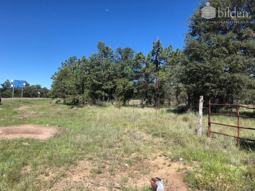 Imagen 5 de 11 de Terreno En Venta El Soldado, Dgo