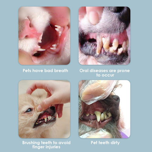 Cepillo De Dientes Para Perros Cepillo De Dientes Para Perro