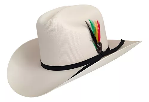 Sombreros para hombre Tombstone 1,000X Style Carin Leon Sombrero de vaquero  de paja, Sombrero Vaquero Estilo Carin Leon