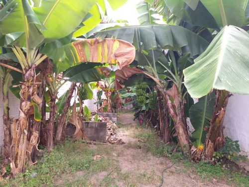 Imagen 24 de 25 de Casa En Las Mayas En El Limon En Maracay
