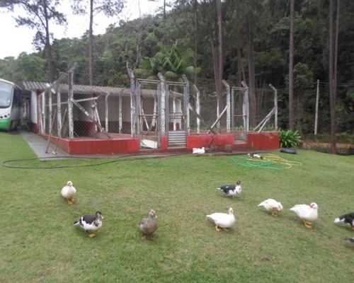 Imagem 2 de 14 de Sítio - 04127 - 33228998