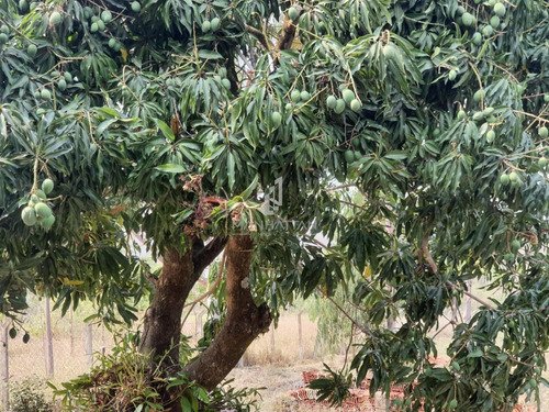 Imagem 20 de 26 de Chácara À Venda Em Chácara Recreio Cruzeiro Do Sul - Ch004902