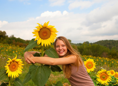 150 Semillas De Girasol Amarillo Gold