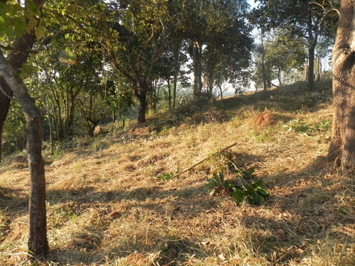 (k.a) Topografia Plana Em Aruja Em Até 48x