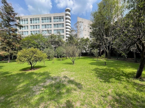 Imagen 7 de 15 de Venta Terreno En Las Flores, Flor De María 5,368m2