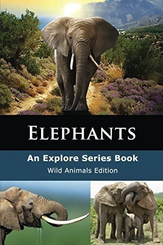 Libro: En Ingles Elephants Gentle Giants Wild Animals Serie