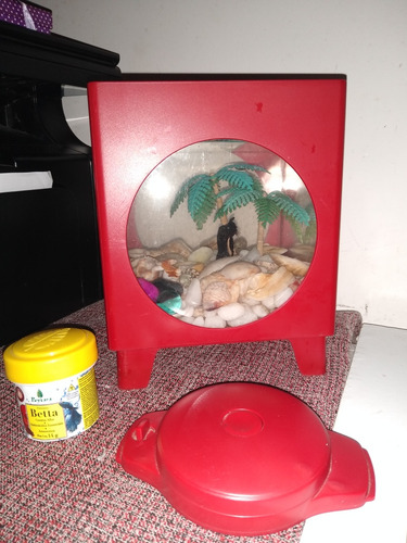 Peixe Beta + Kit Completo Com Aquário Usado