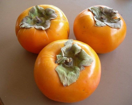 Planta Grumixama Amarilla