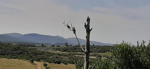 Campo Sobre Ruta Interbalnearia