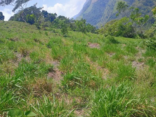 Finca Multipropósito En Minasal Yacopi Cundinamarca
