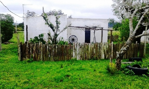 Quinta En Venta De 2 Dormitorios En Maldonado