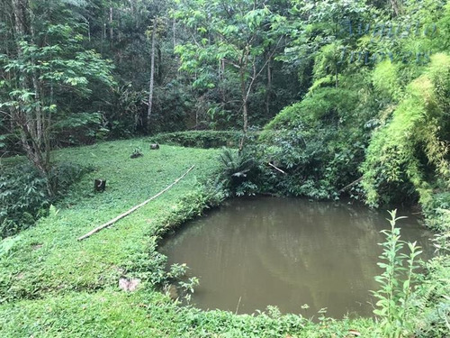Imagem 14 de 29 de Chácaras À Venda Em Jarinú/sp - Compre O Seu Chácaras Aqui! - 1428340
